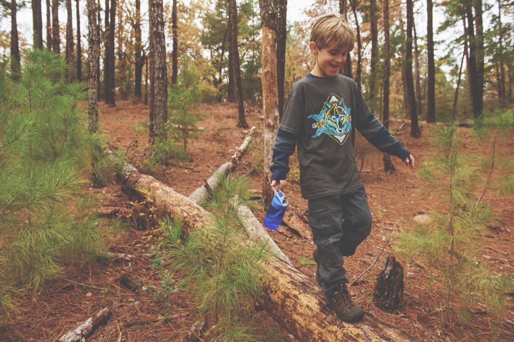 Cub Scouts walking a sunlit wooded trail
